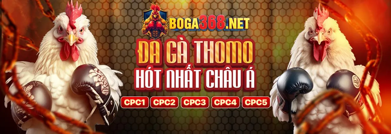 Chương trình VIP K9CC với các đặc quyền độc quyền