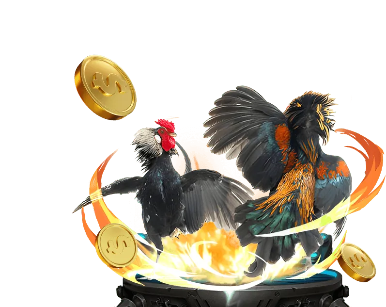 Tính năng nổi bật của nền tảng K9CC